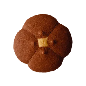 Biscuits with cocoa
